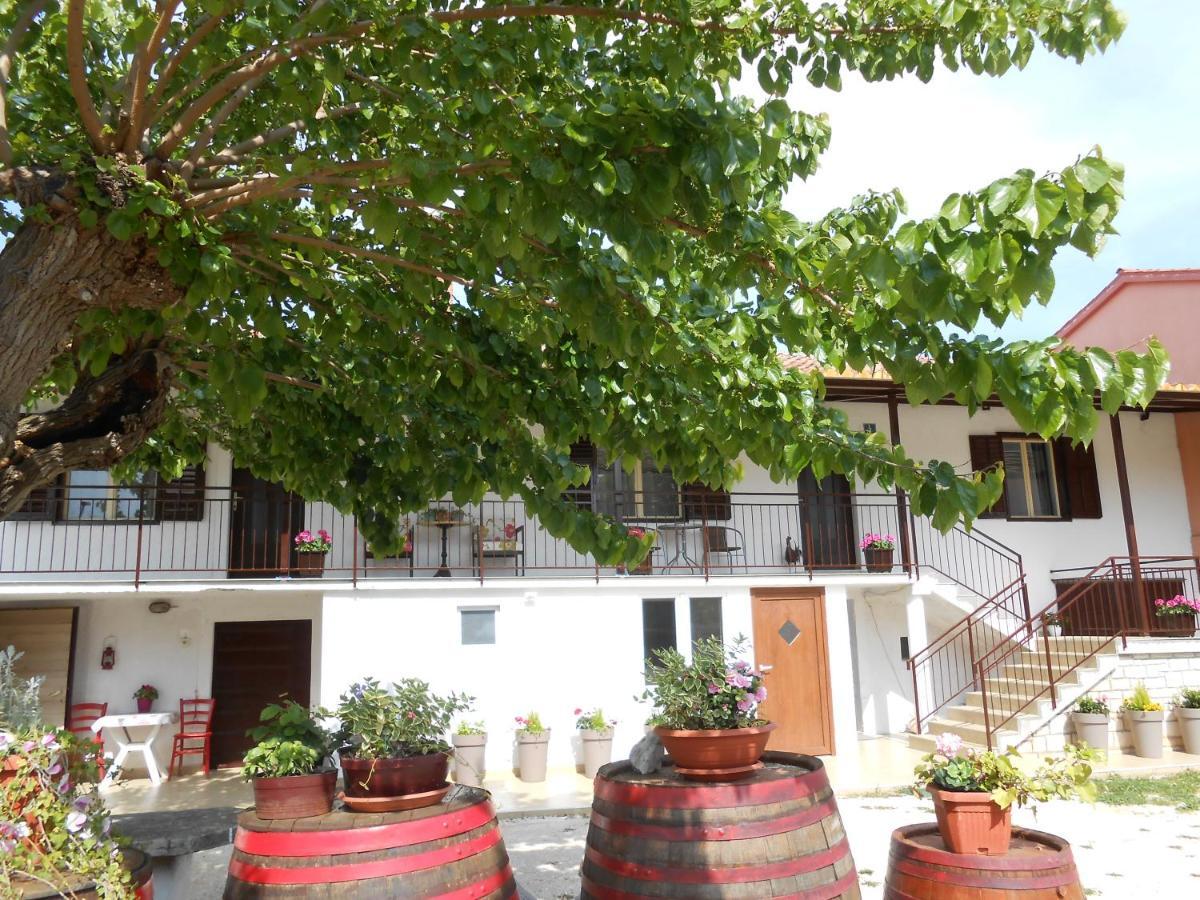 Apartma The Golden Well